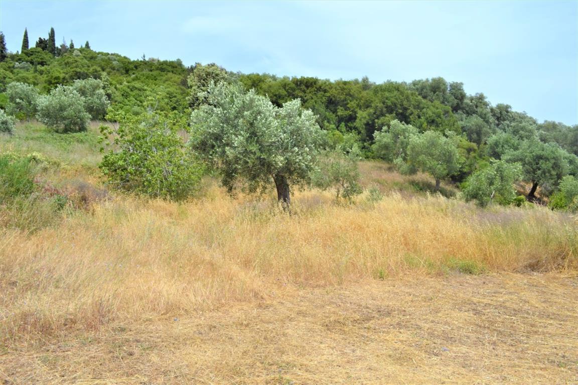 Земля на Корфу, Греция, 12 000 м² - фото 6