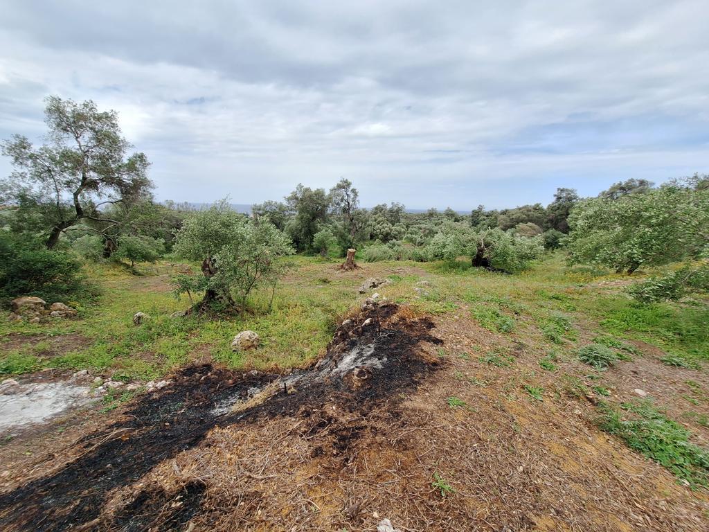 Земля на Корфу, Греция, 7 000 м² - фото 6