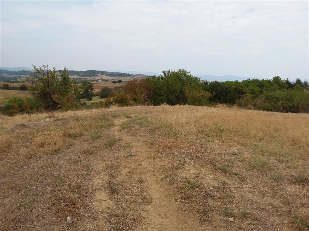 Земля на Халкидиках, Греция, 13 000 м² - фото 6