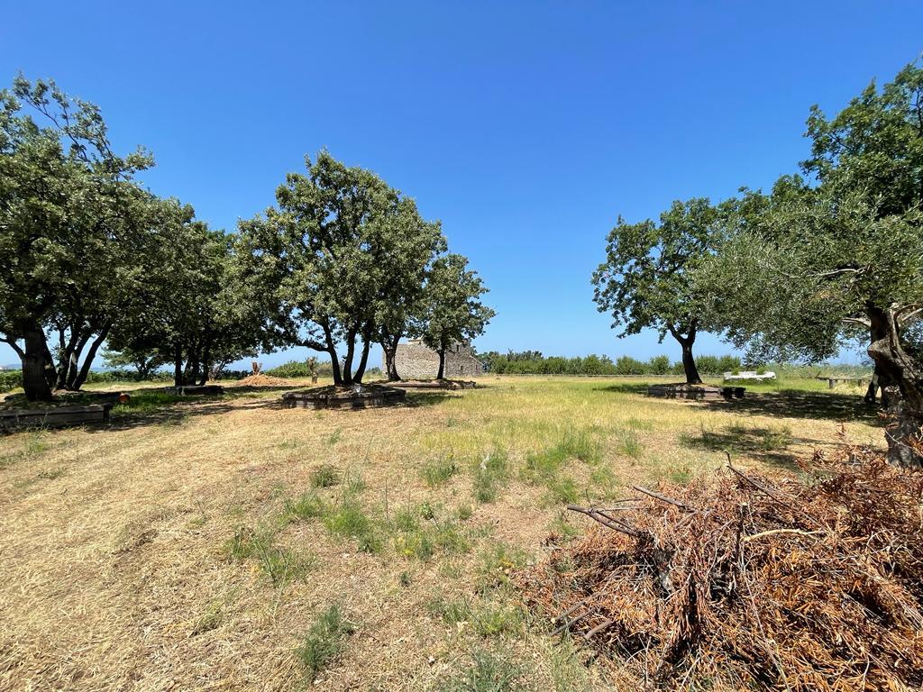 Земля на Корфу, Греция, 26 159 м² - фото 6