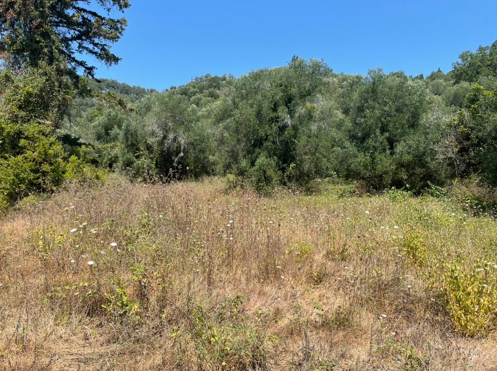 Земля на Корфу, Греция, 11 450 м² - фото 6