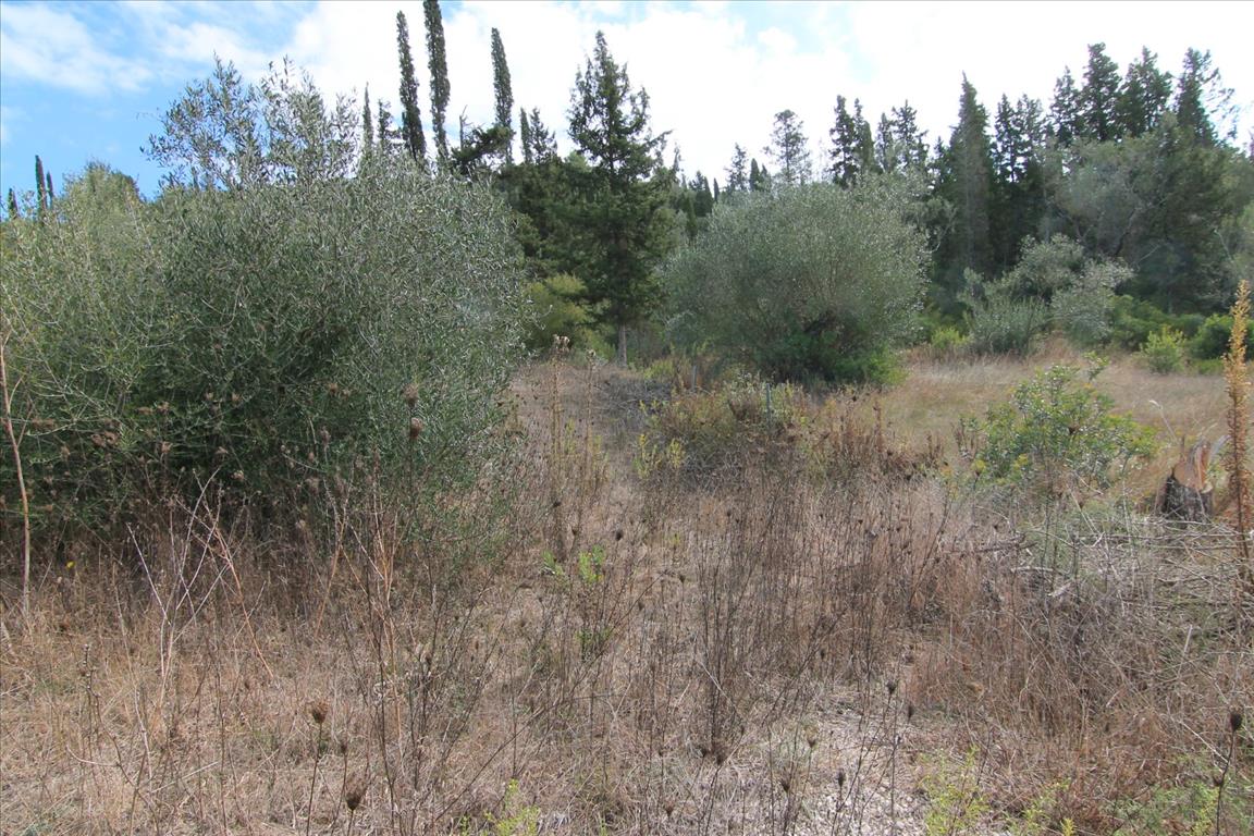 Земля на Корфу, Греция, 15 000 м² - фото 6