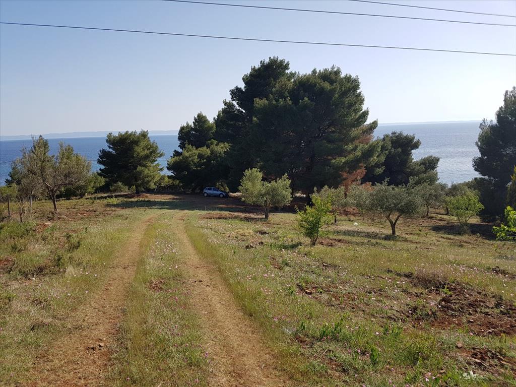Земля в Ситонии, Греция, 6 500 м² - фото 6