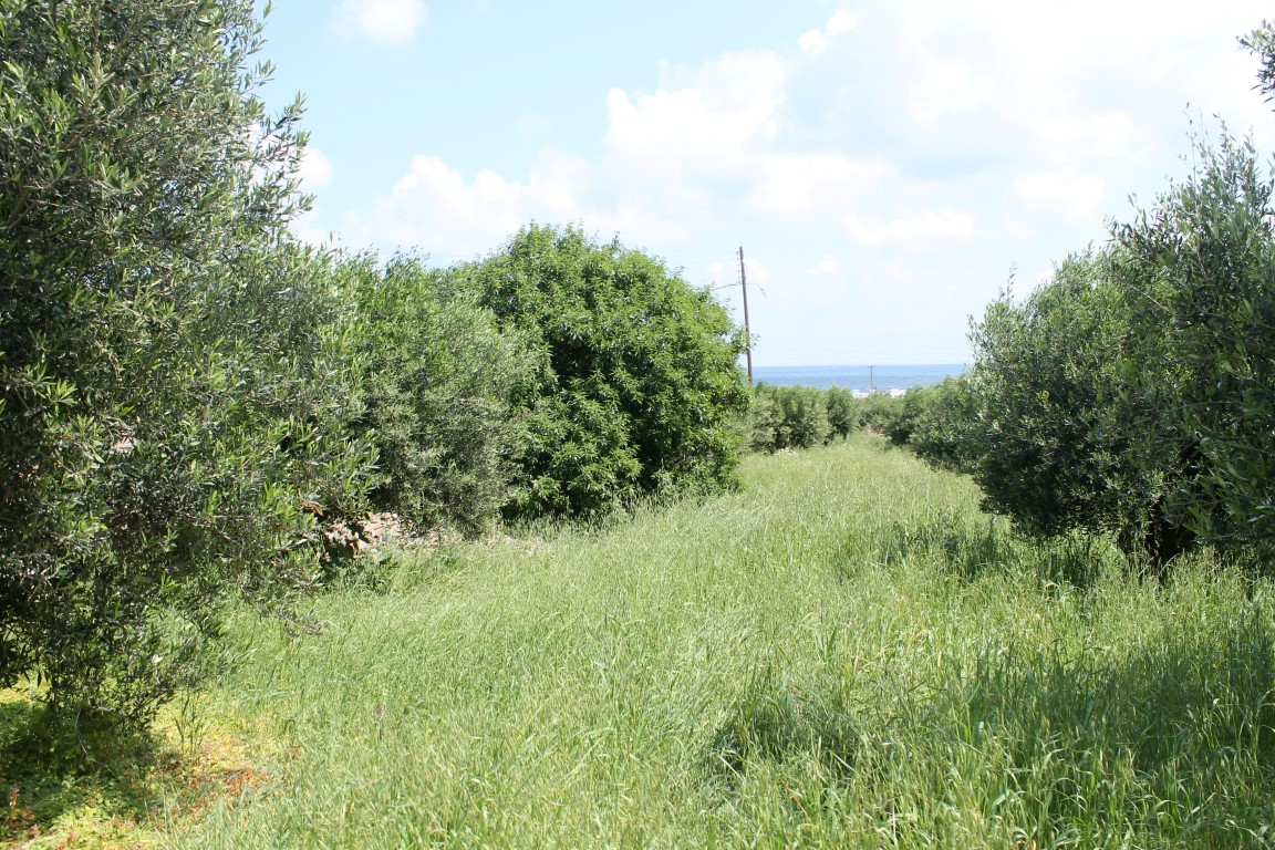 Земля в Ираклионе, Греция, 6 890 м² - фото 6