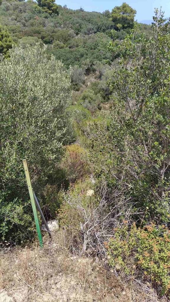 Земля в Ситонии, Греция, 11 688 м² - фото 6