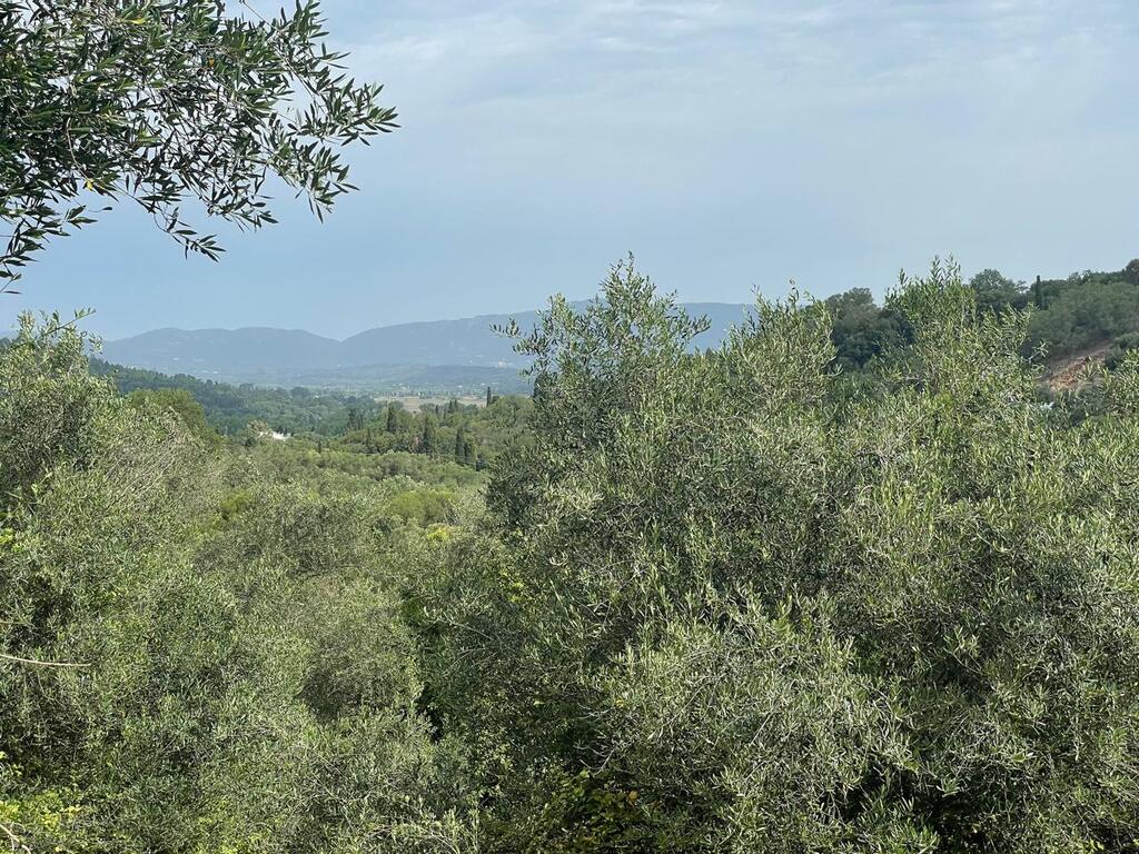 Земля на Корфу, Греция, 5 020 м² - фото 6