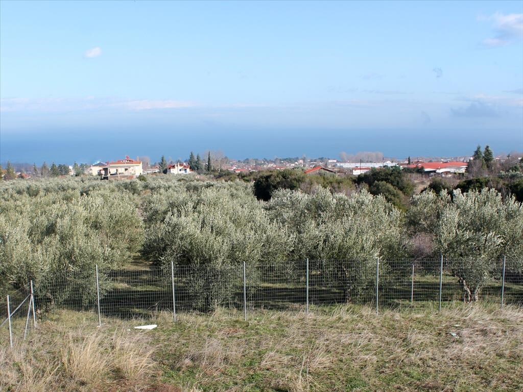 Дом в Олимпиаки-Акти, Греция, 416 м² - фото 6