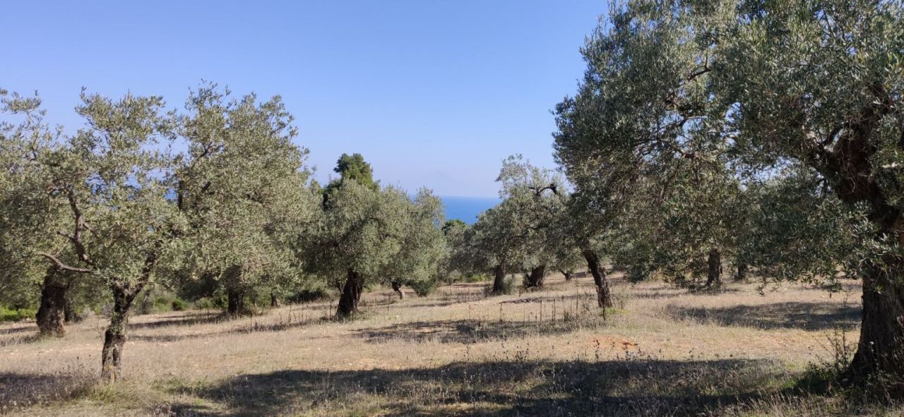 Земля в Ситонии, Греция, 9 000 м² - фото 6