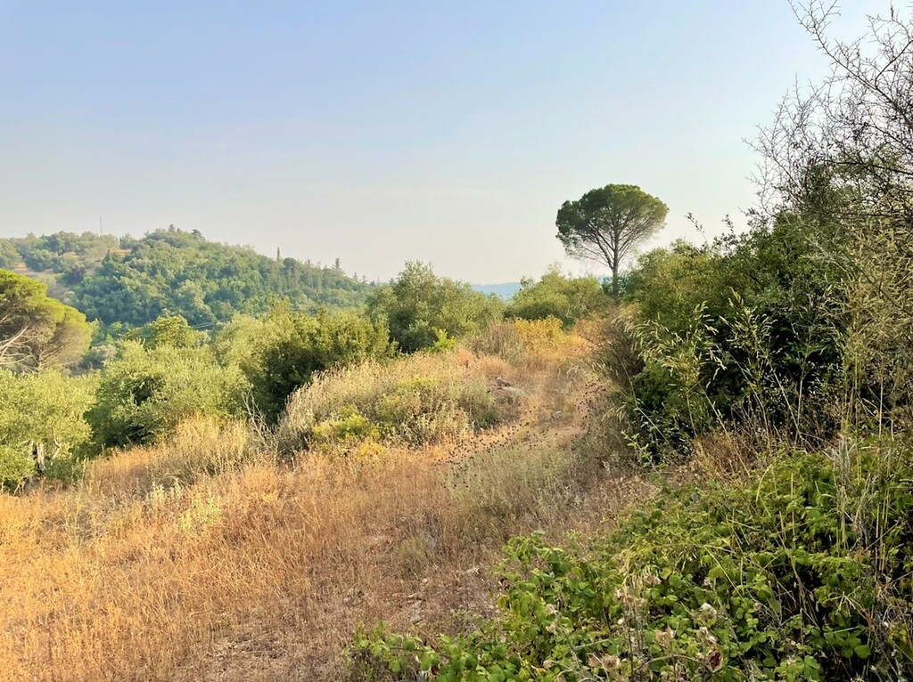 Земля на Корфу, Греция, 21 000 м² - фото 6