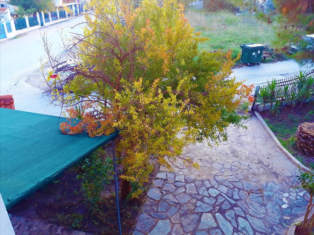 Дом в Ситонии, Греция, 170 м² - фото 6