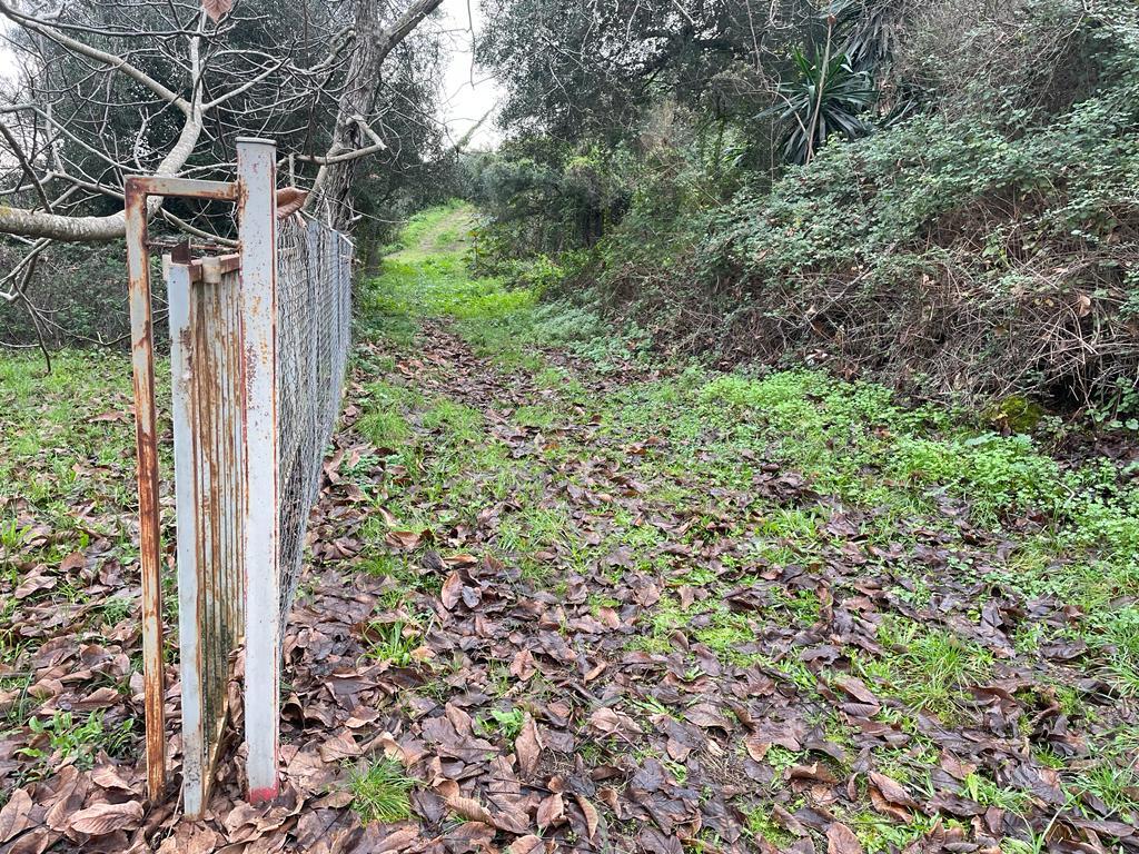 Земля на Корфу, Греция, 2 463 м² - фото 6