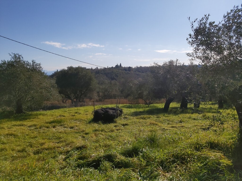 Земля на Корфу, Греция, 9 000 м² - фото 6