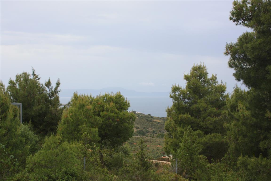 Земля в Ираклионе, Греция, 5 900 м² - фото 6