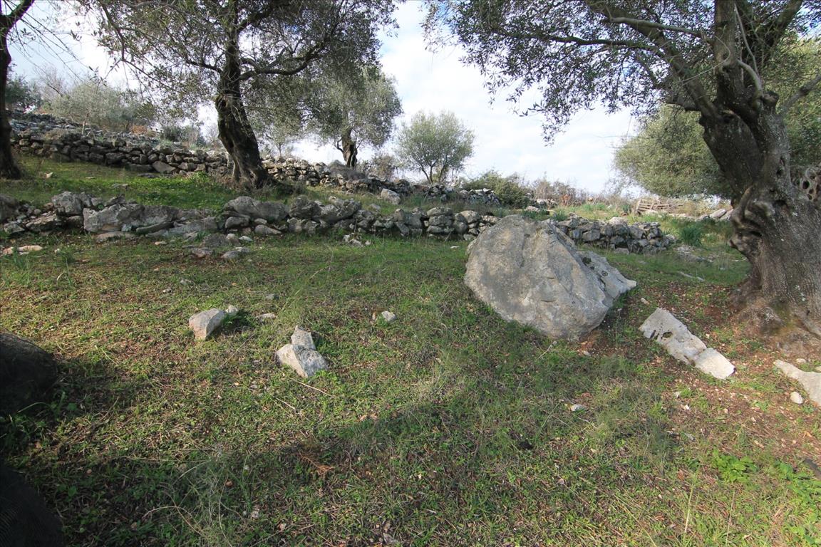 Земля на Корфу, Греция, 6 000 м² - фото 6