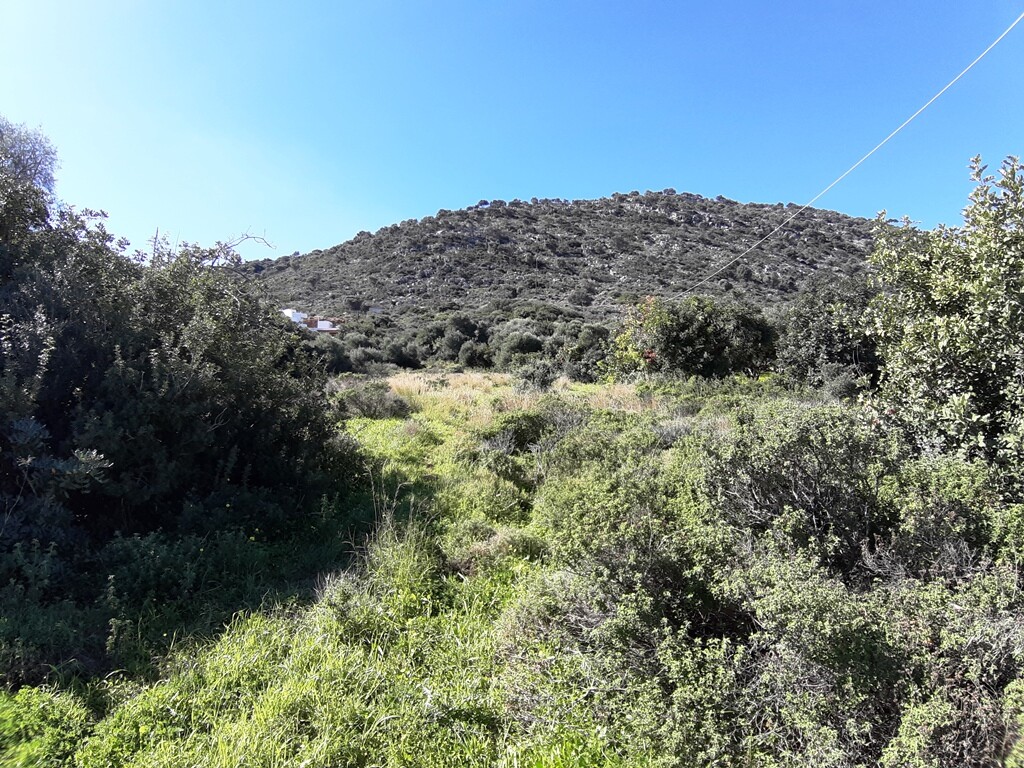 Земля в Ираклионе, Греция, 24 000 м² - фото 6