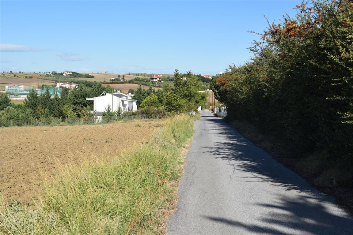 Земля в Салониках, Греция, 8 000 м² - фото 6