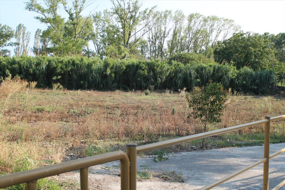 Земля на Кассандре, Греция, 2 500 м² - фото 6