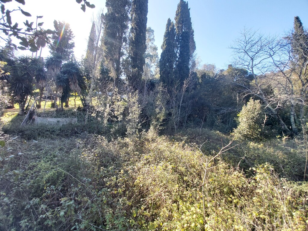 Земля на Корфу, Греция, 2 770 м² - фото 6