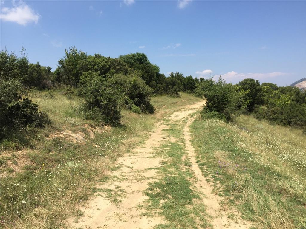 Земля в Салониках, Греция, 12 100 м² - фото 6