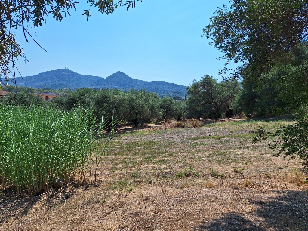 Земля на Корфу, Греция, 12 000 м² - фото 6