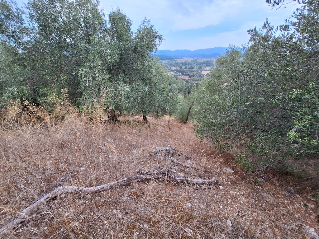 Земля на Корфу, Греция, 13 000 м² - фото 6