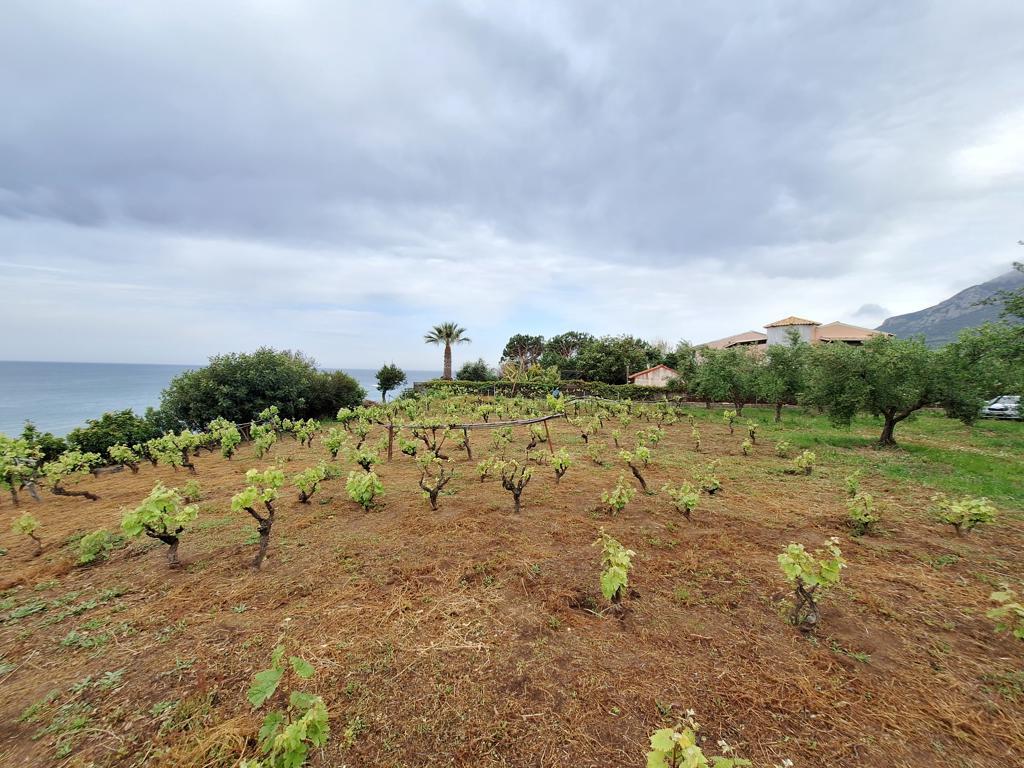 Земля на Корфу, Греция, 4 444 м² - фото 6