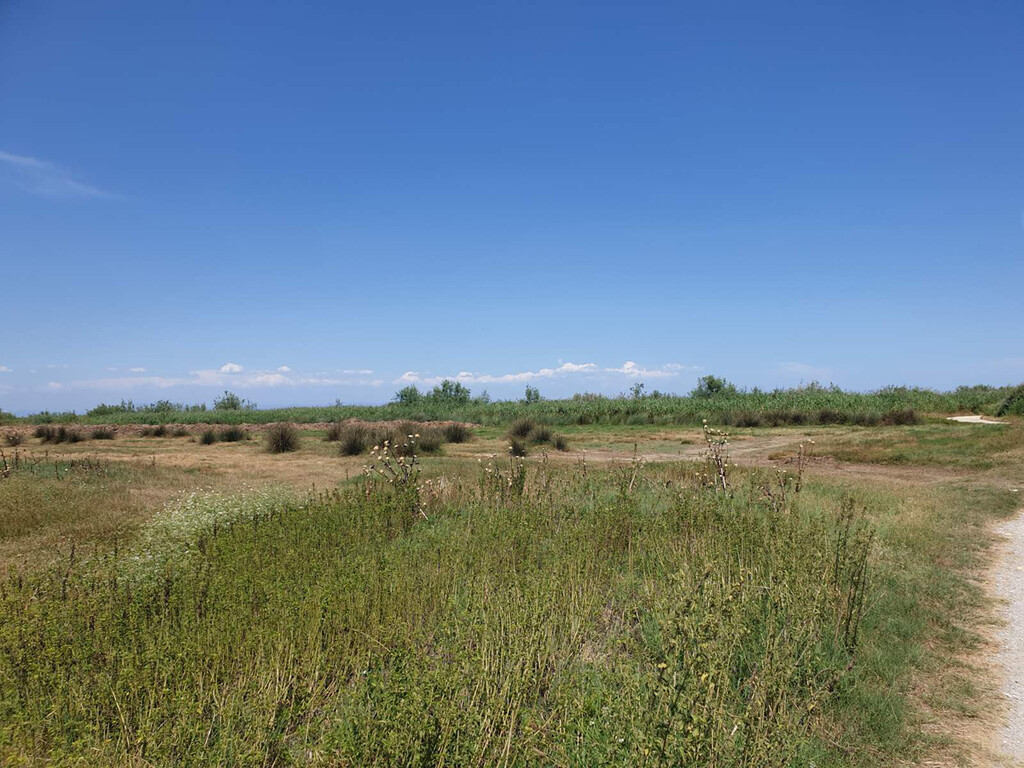 Земля в Олимпиаки-Акти, Греция, 12 955 м² - фото 6