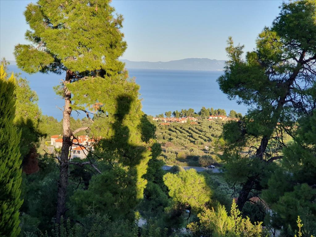 Дом на Кассандре, Греция, 120 м² - фото 6