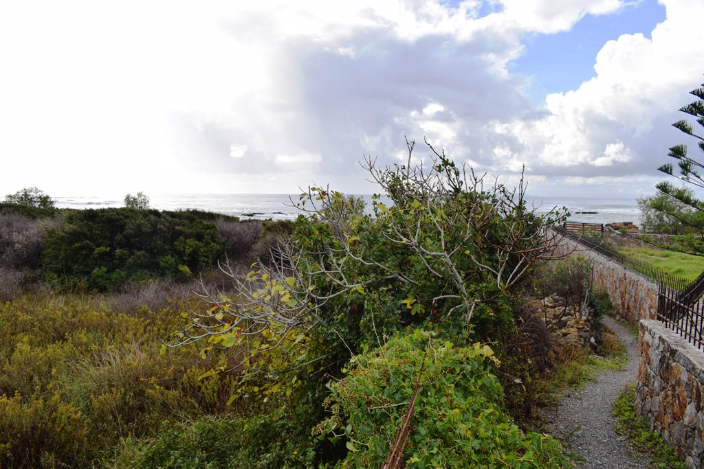 Земля в Ираклионе, Греция, 4 089 м² - фото 6