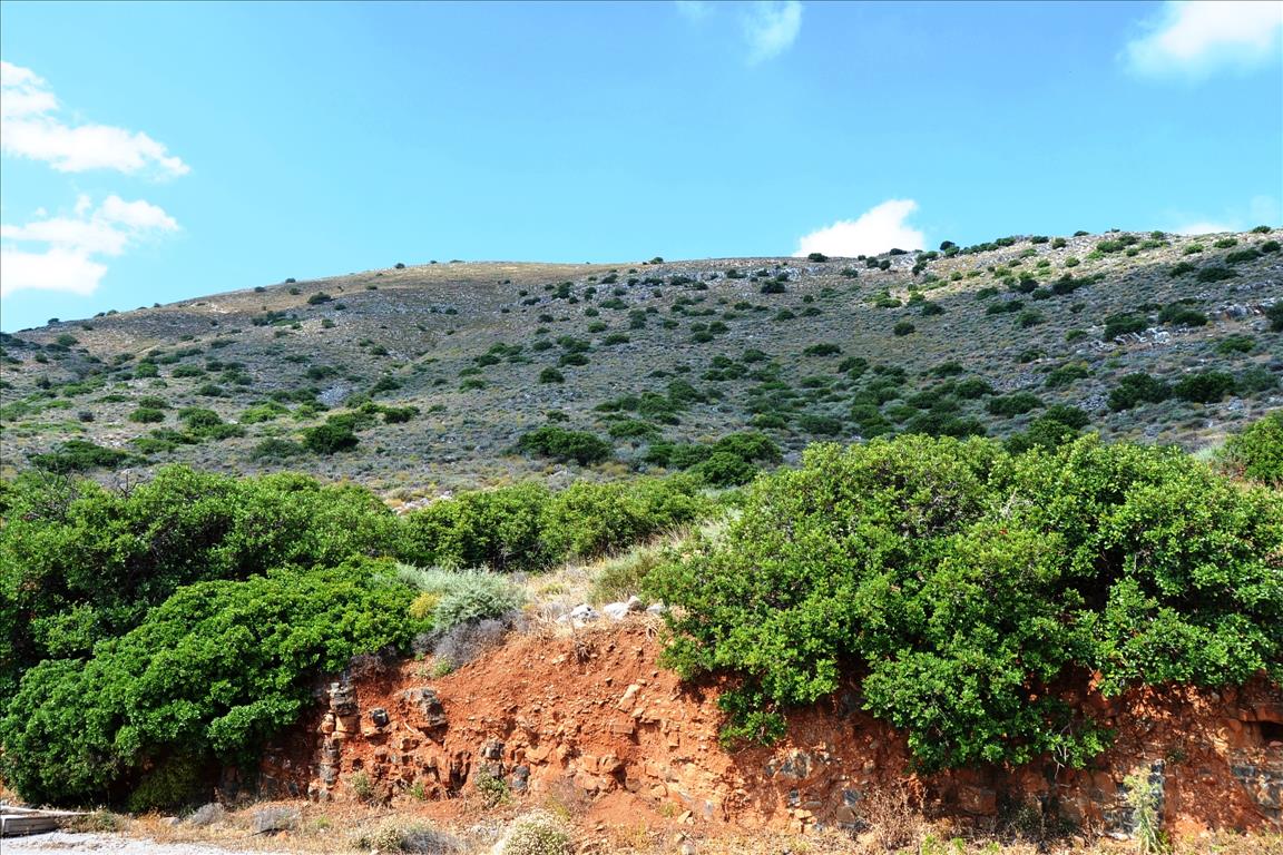 Земля в Ираклионе, Греция, 4 860 м² - фото 6