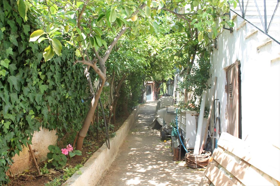 Дом в Афинах, Греция, 60 м² - фото 6