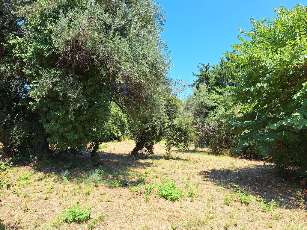 Земля на Корфу, Греция, 4 600 м² - фото 6