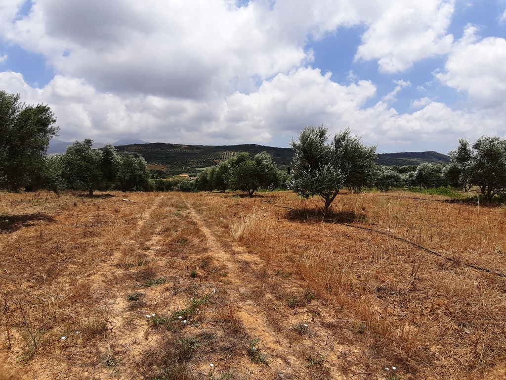 Земля в Ираклионе, Греция, 15 000 м² - фото 6