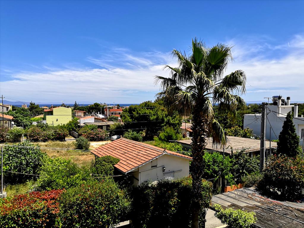 Дом в Аттике, Греция, 350 м² - фото 6