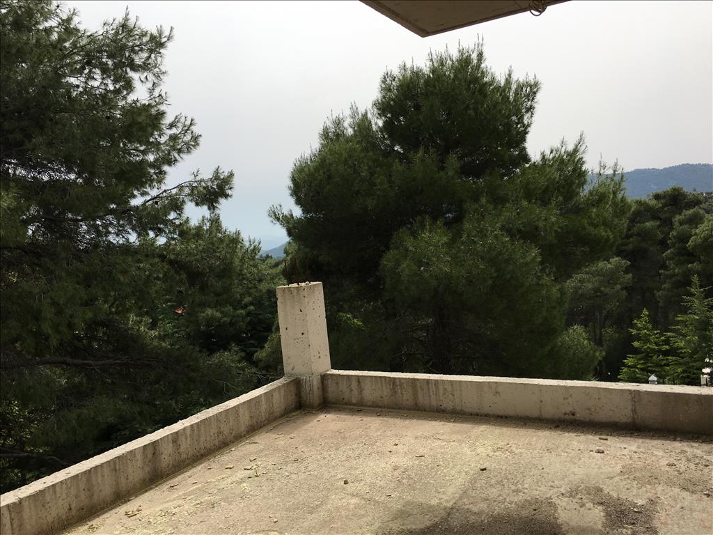 Мезонет в Аттике, Греция, 250 м² - фото 6