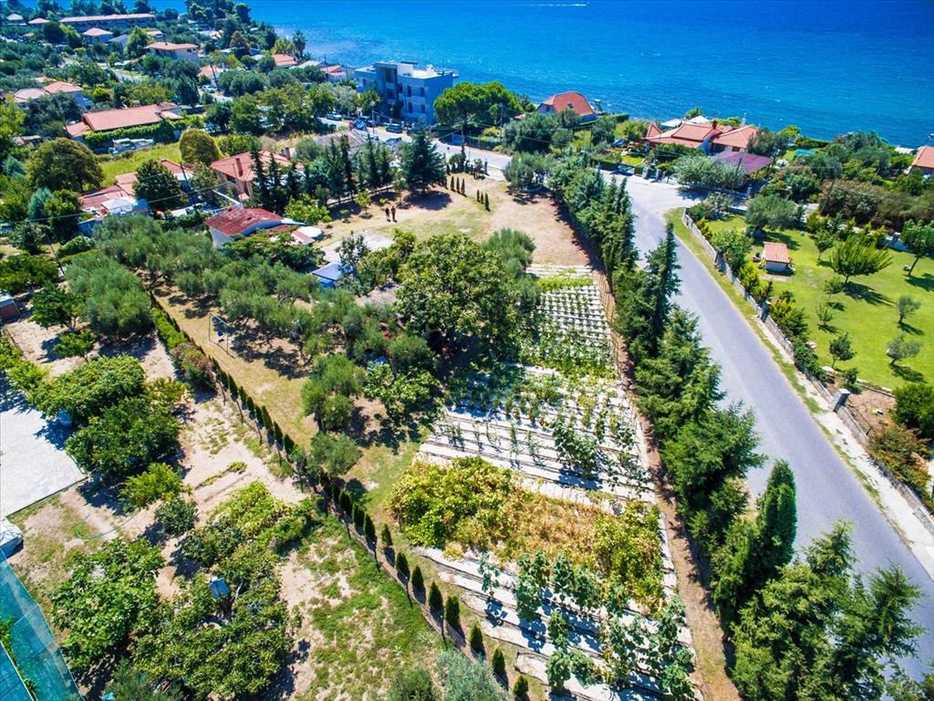 Земля на Кассандре, Греция, 2 500 м² - фото 6