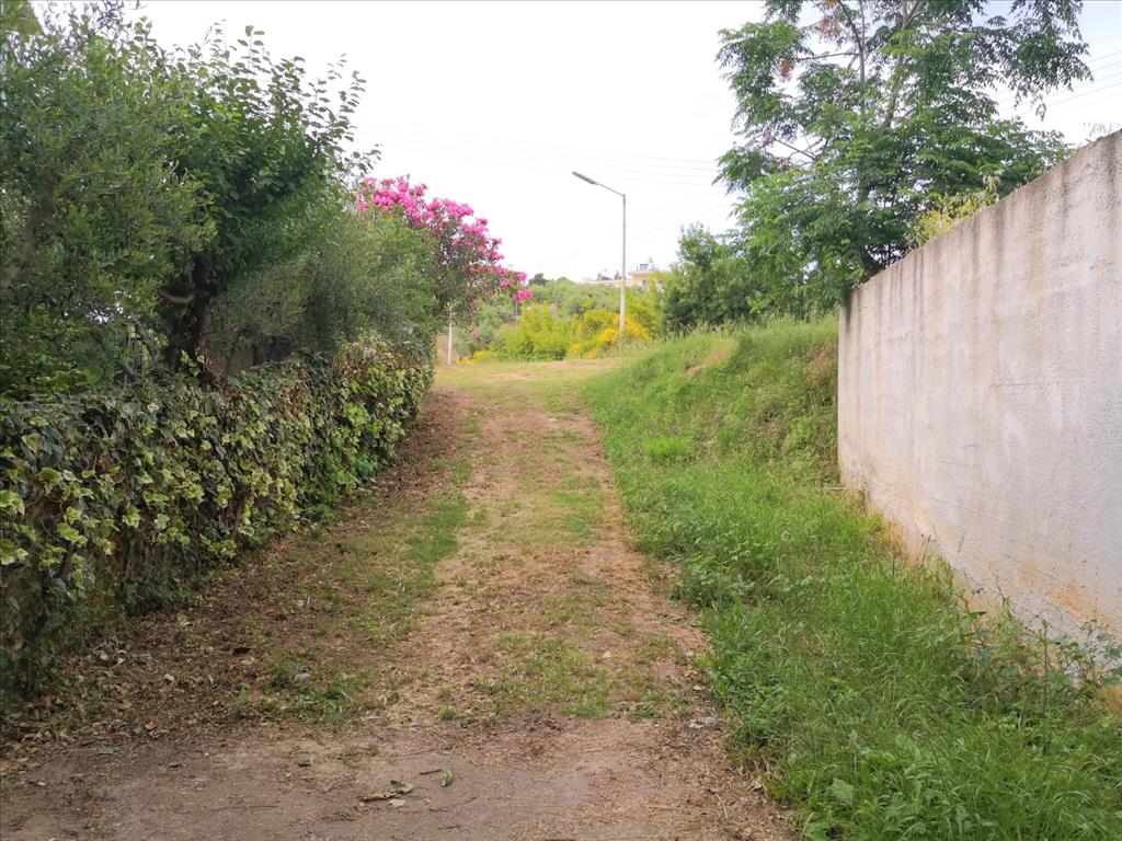 Дом в Ситонии, Греция, 400 м² - фото 6