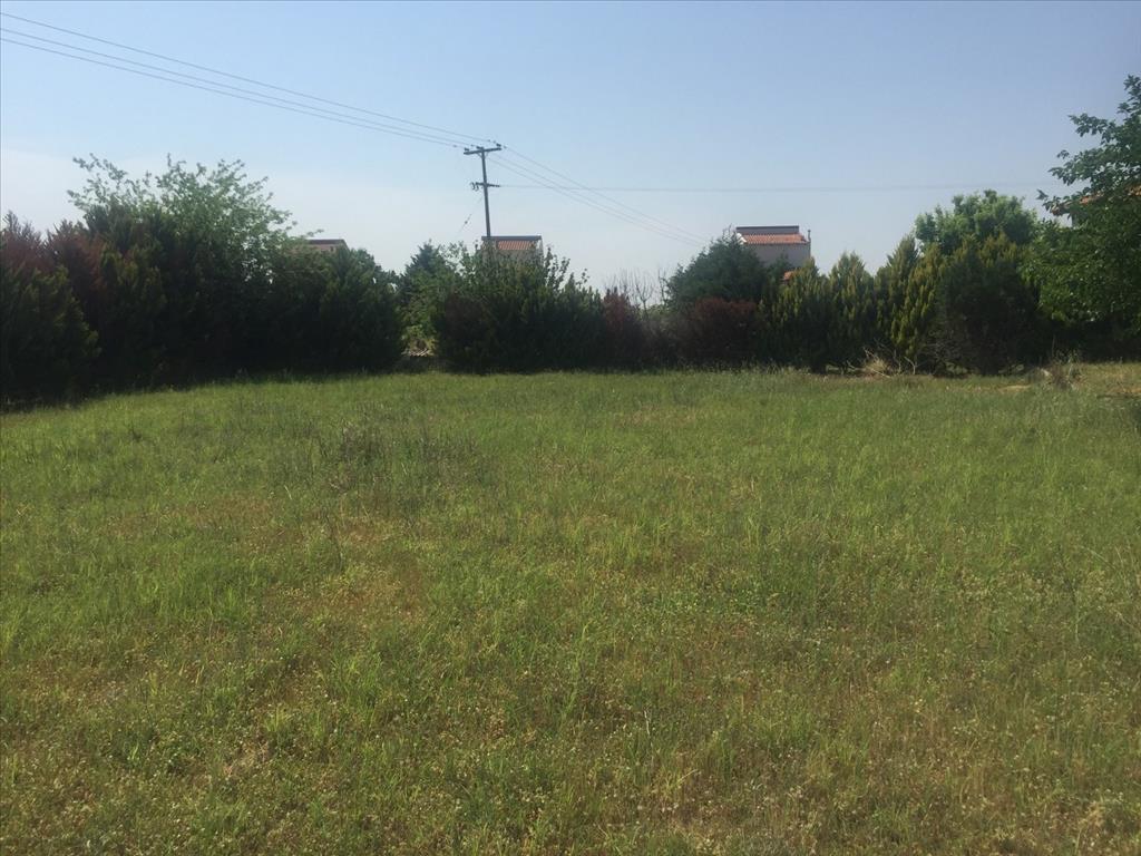 Дом на Халкидиках, Греция, 180 м² - фото 6