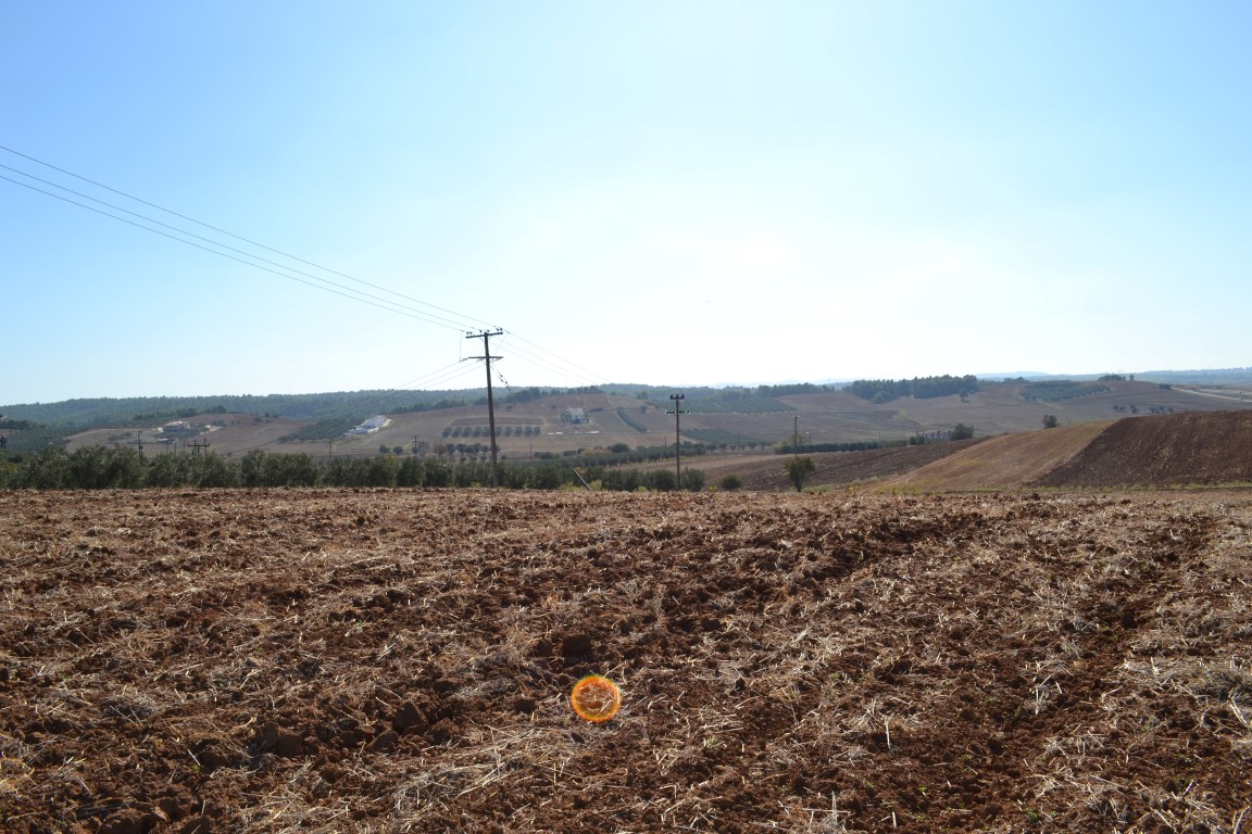 Земля на Кассандре, Греция, 20 000 м² - фото 6