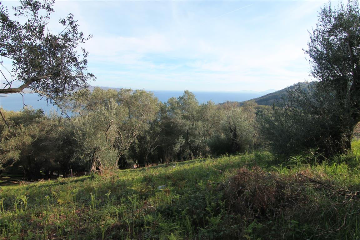 Земля на Корфу, Греция, 2 400 м² - фото 6