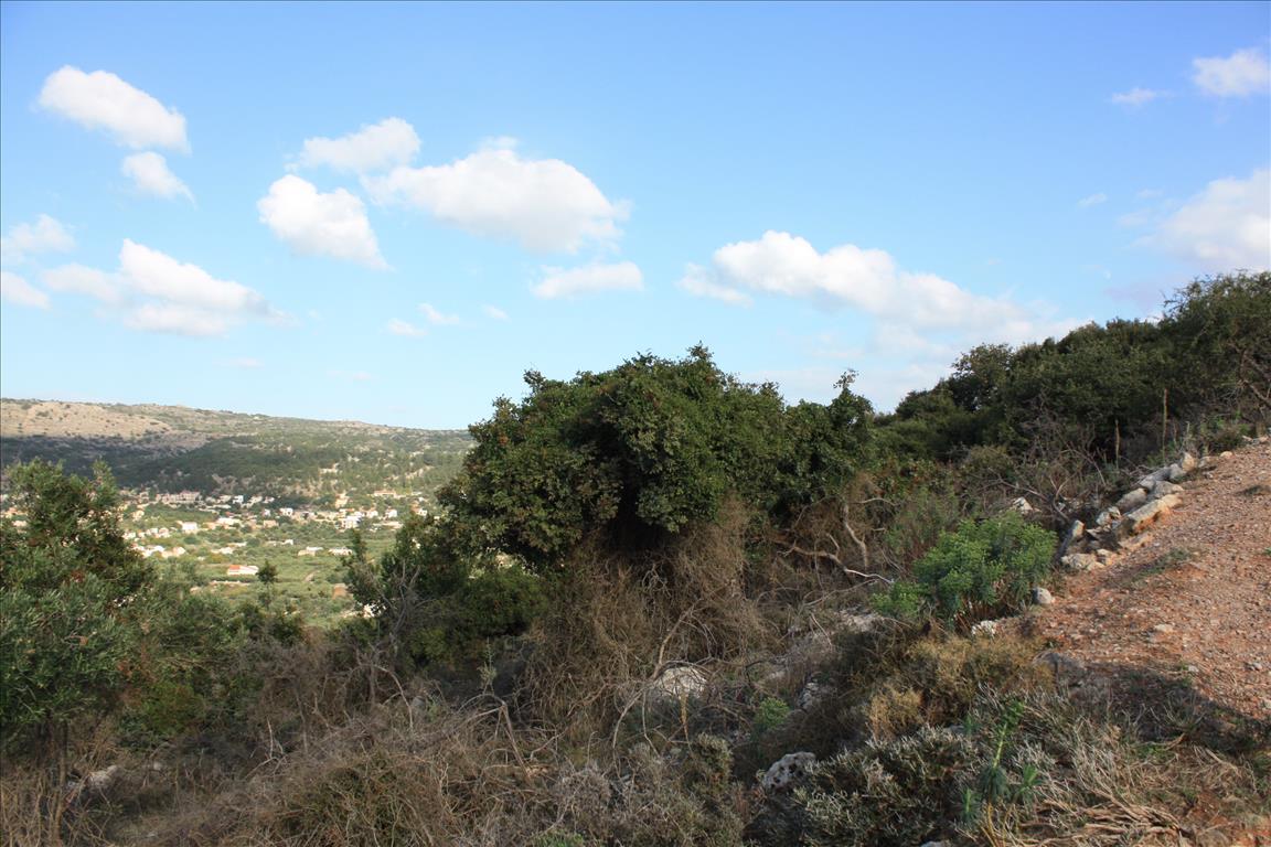 Земля в Ираклионе, Греция, 11 842 м² - фото 6