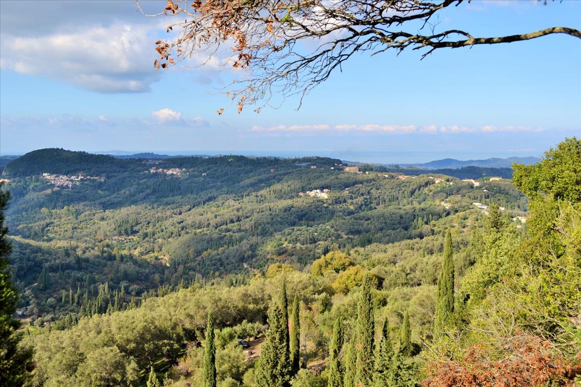 Земля на Корфу, Греция, 15 000 м² - фото 7