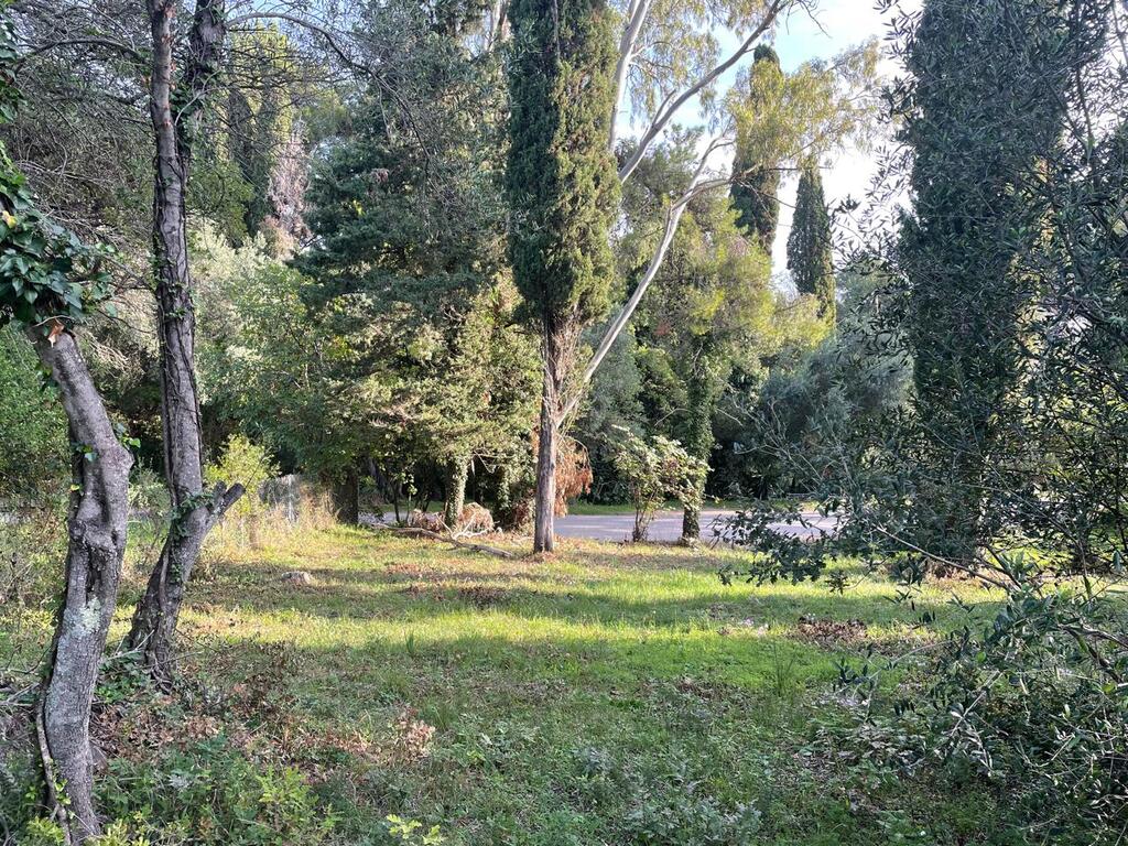 Земля на Корфу, Греция, 3 321 м² - фото 7