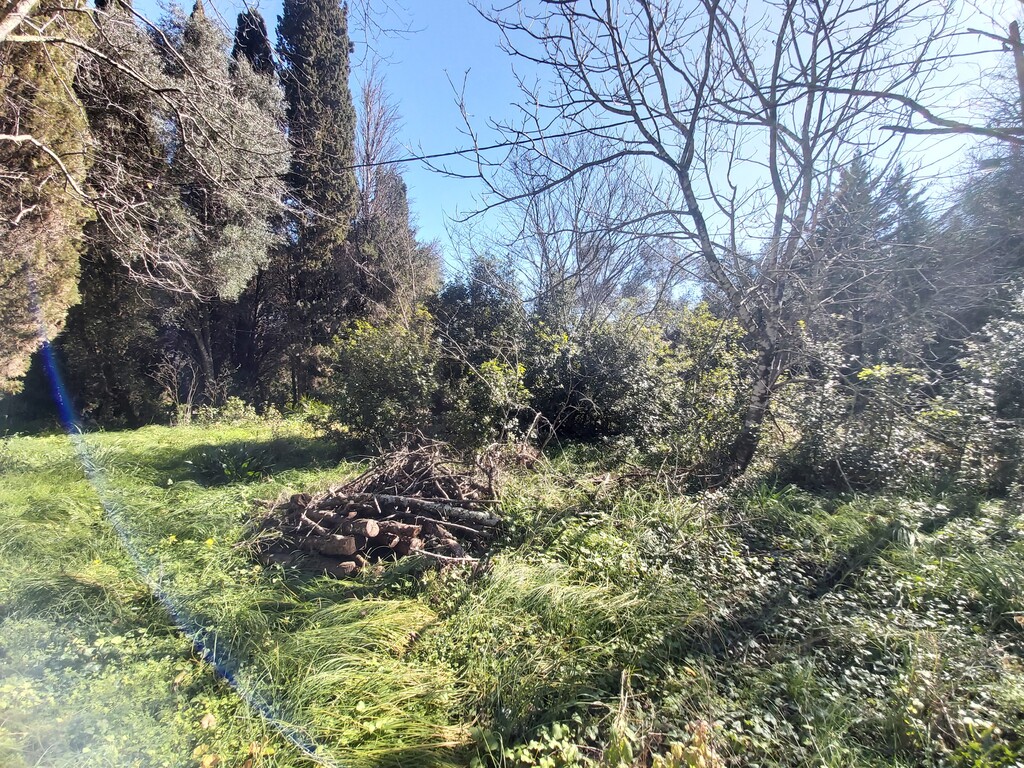 Земля на Корфу, Греция, 2 770 м² - фото 7