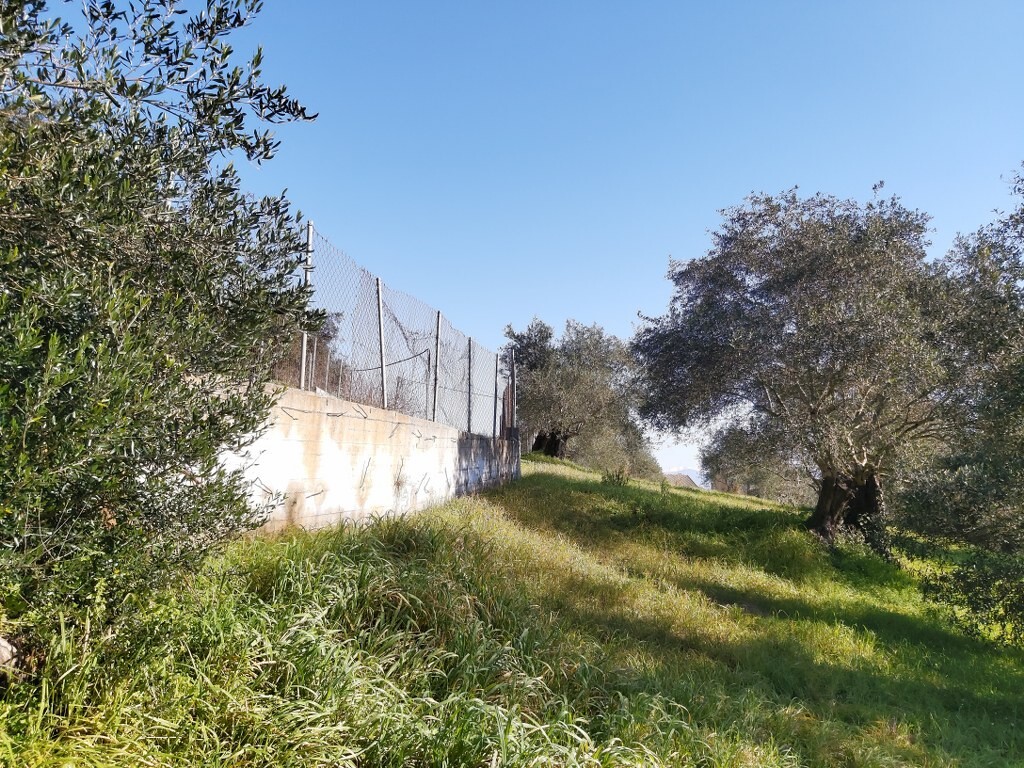 Земля на Корфу, Греция, 9 000 м² - фото 7