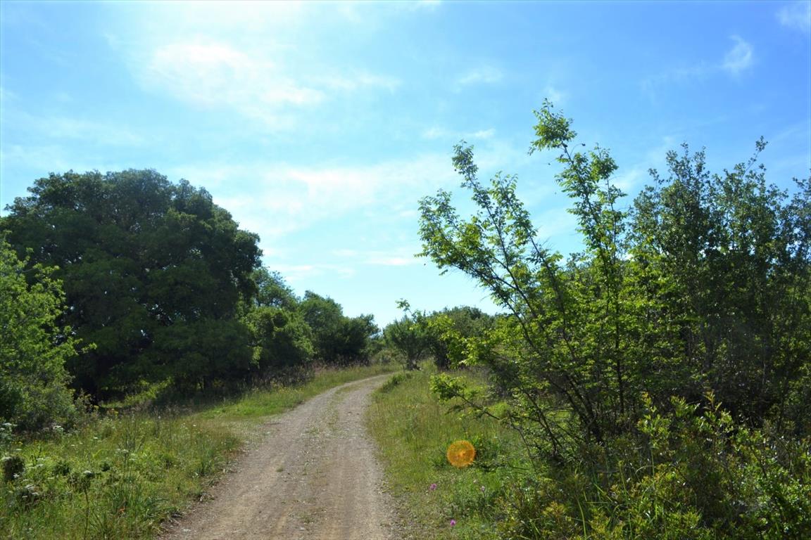 Земля на Корфу, Греция, 72 000 м² - фото 7