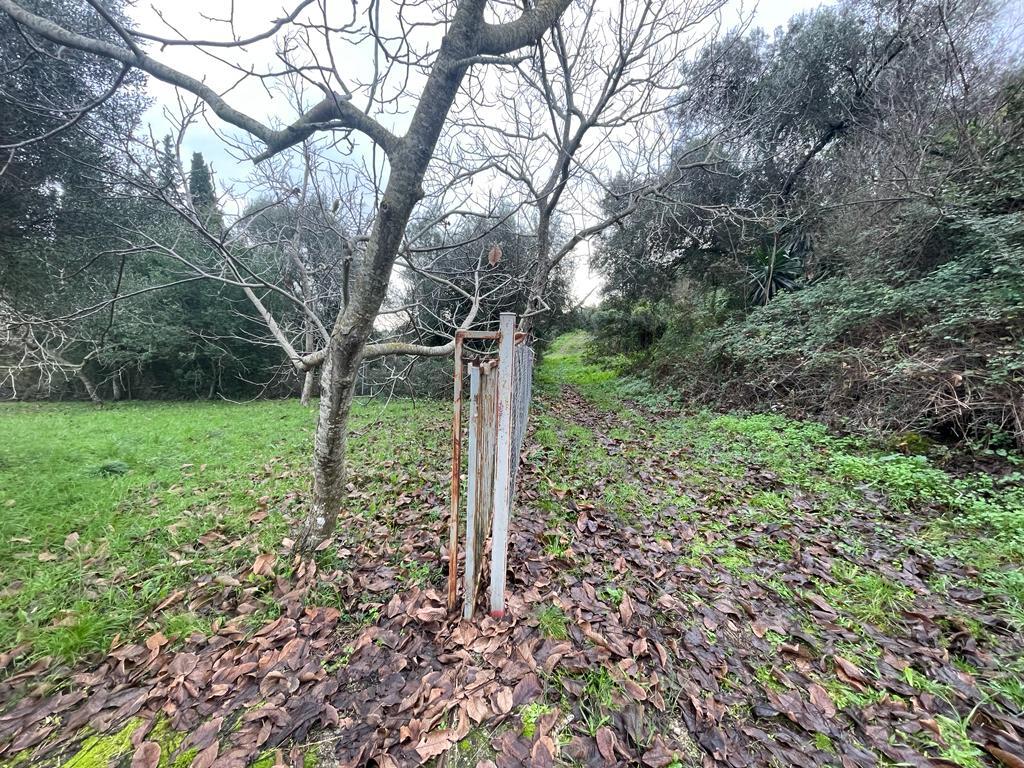 Земля на Корфу, Греция, 2 463 м² - фото 7