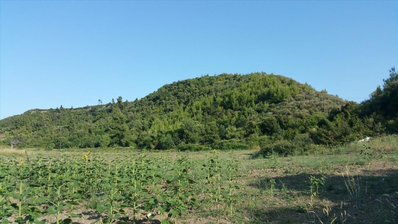 Земля на Кассандре, Греция, 14 625 м² - фото 7