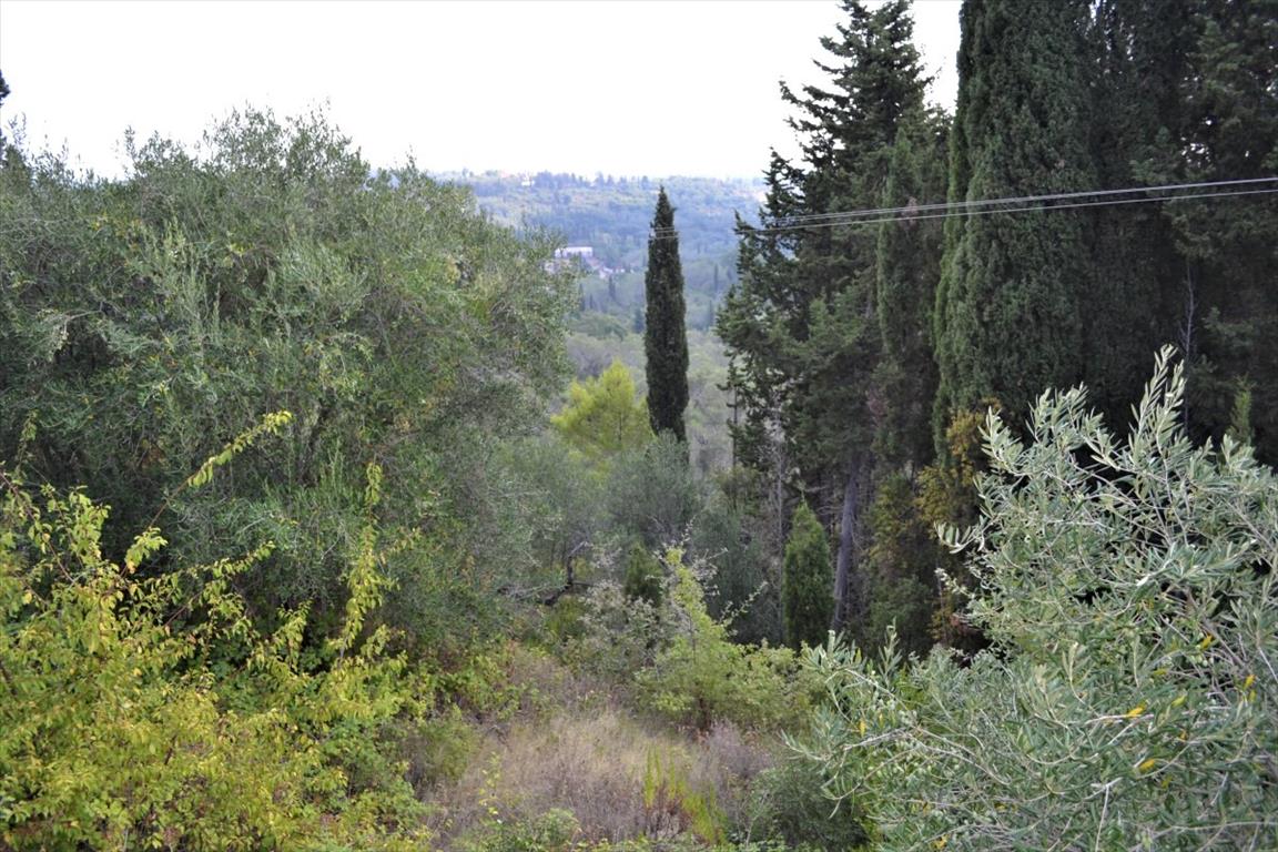 Земля на Корфу, Греция, 3 660 м² - фото 7