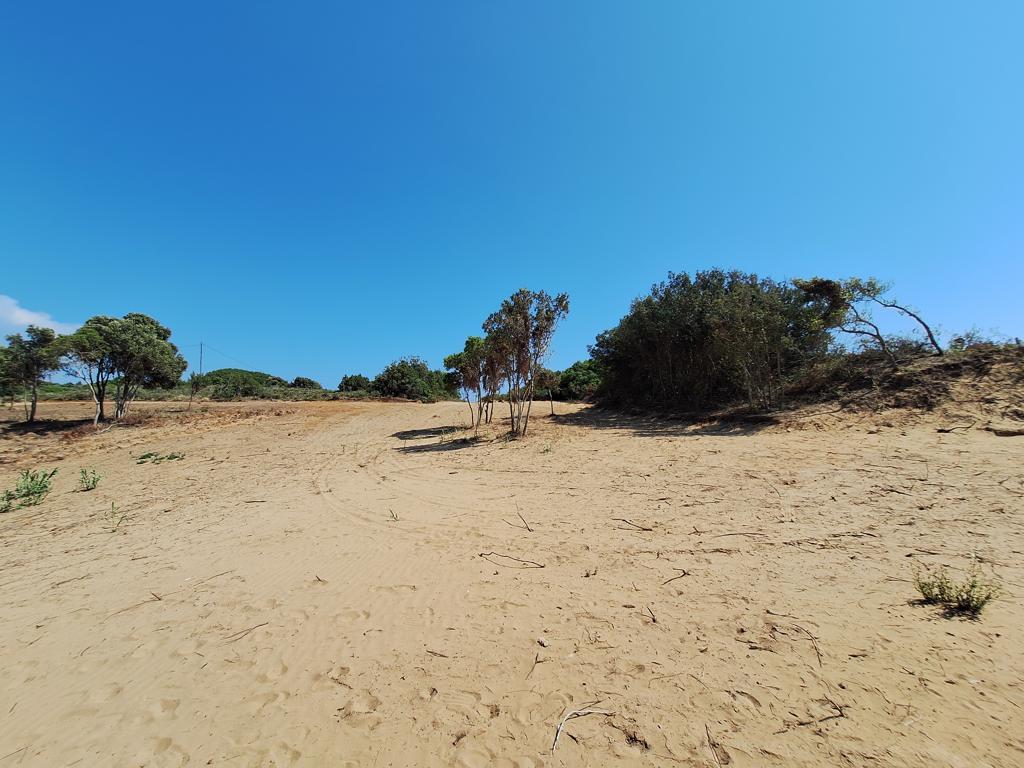 Земля на Корфу, Греция, 17 439 м² - фото 7